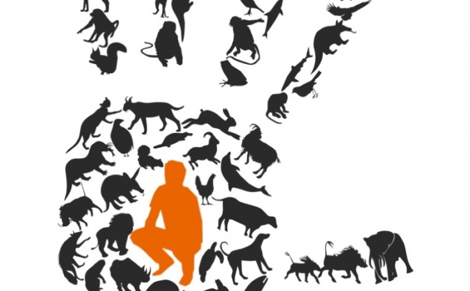 Animal Neighbours