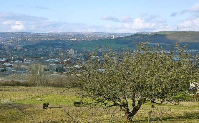 Calderdale Green Party Snap Election Fund