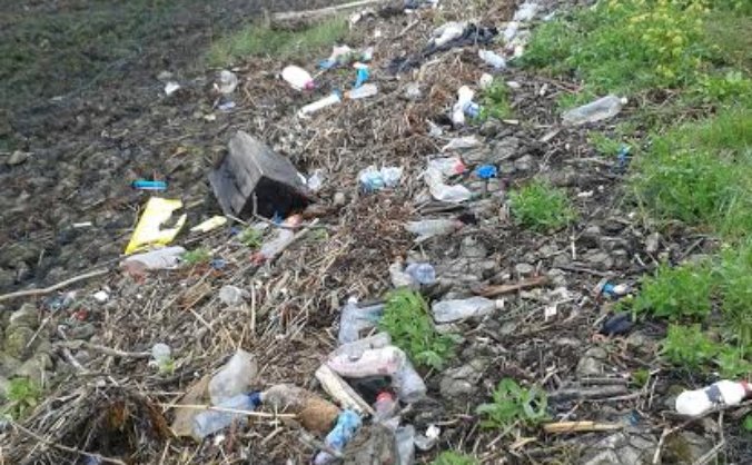 Litter pick in Kent roadside verges