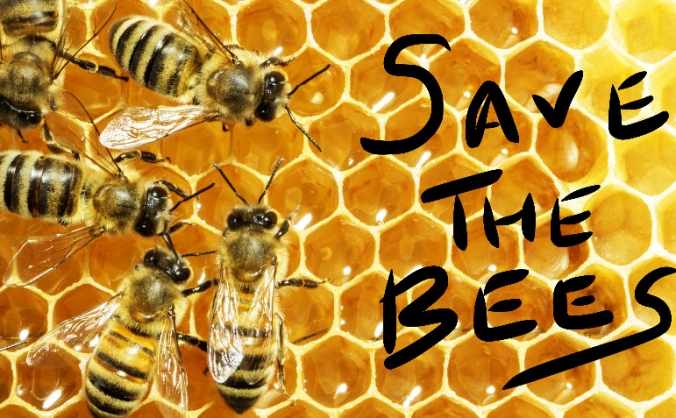Save the honey bees! Start up beekeeping project.