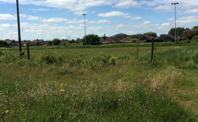 Woodlands Avenue football pitch renovation