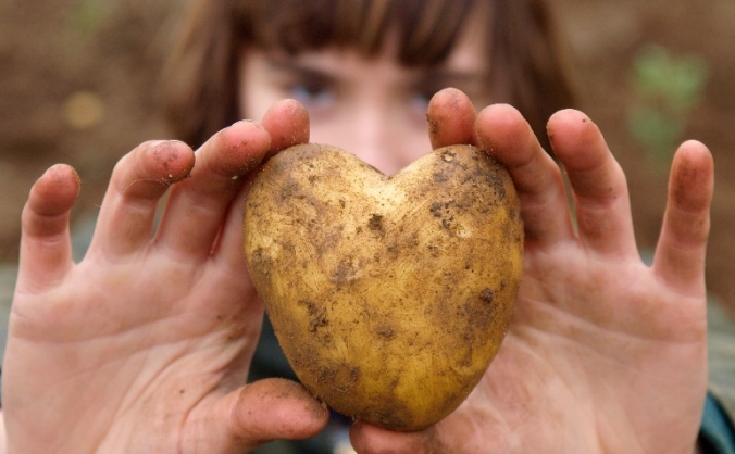 Norwich FarmShare - #fundourfarm