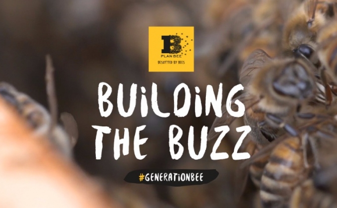 Plan Bee - Building the Buzz.