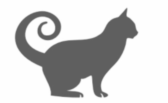 Cat Café Cheltenham