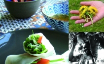 Streetfood: Urban Foraging and World Food