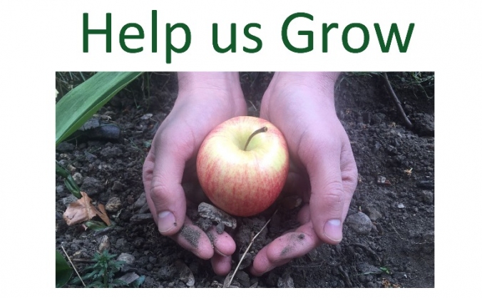 The Apple Tree Cafe and Charity Shop