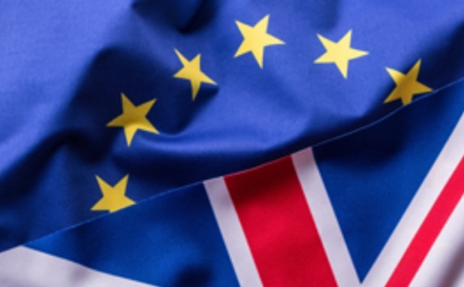 VCSE BREXIT PROJECT