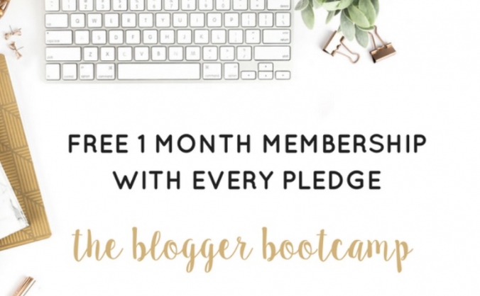 THE BLOGGER BOOTCAMP STUDENT / GRADUATE PLACEMENTS