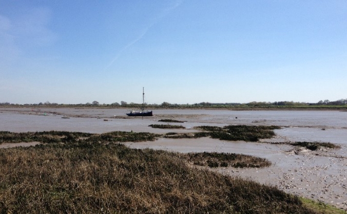 south essex river clean up group