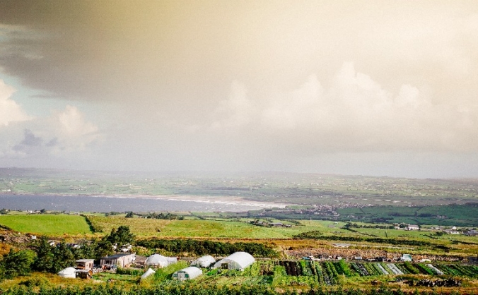 moy hill community farm