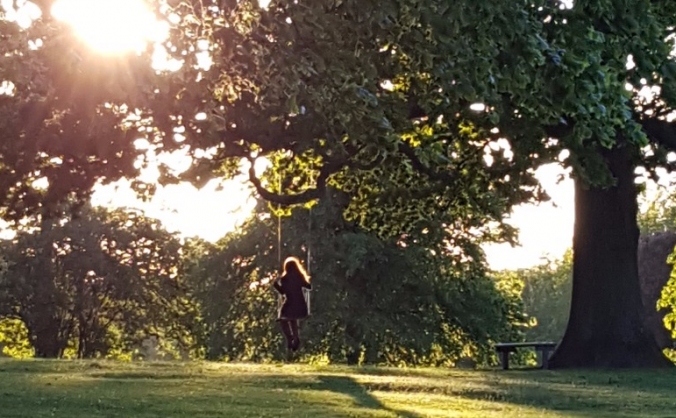 Tree Swings