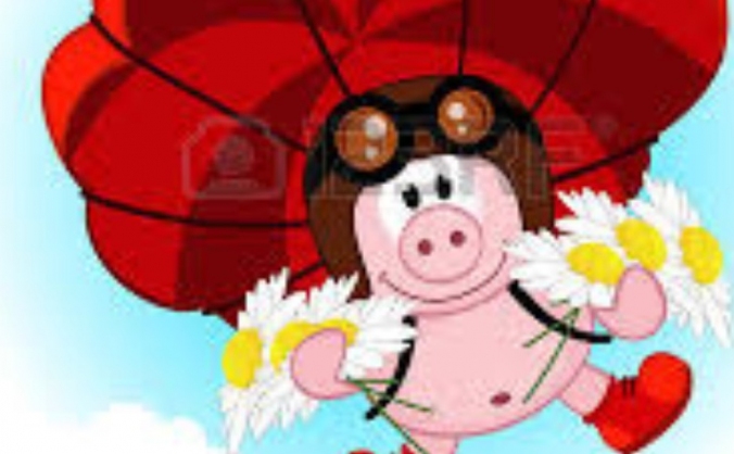 Charity Skydive