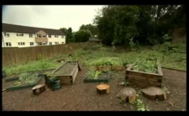 Urban Harvest