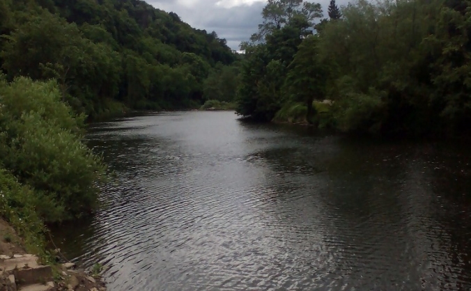 Fynn's swim