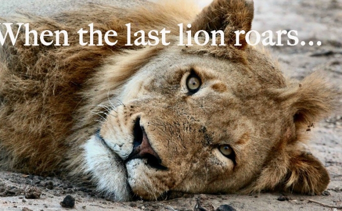 When The Last Lion Roars