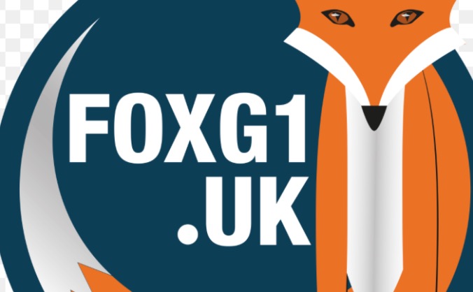 FoxG1 syndrome