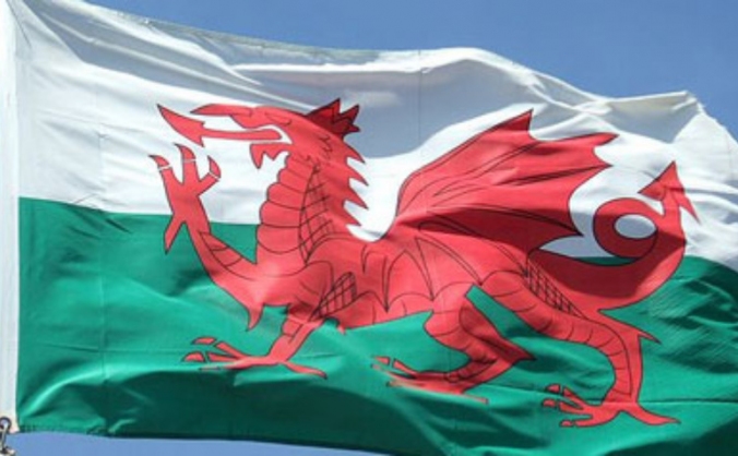 Welsh Men's National Curling Team
