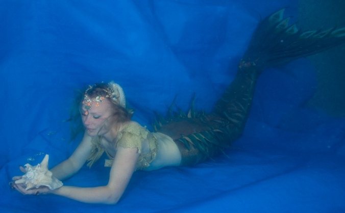 Miss Mermaid Yorkshire Marine Conservation Society