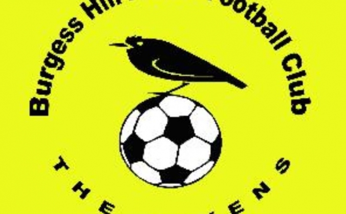 Help Burgess Hill Albion FC get back on it's feet