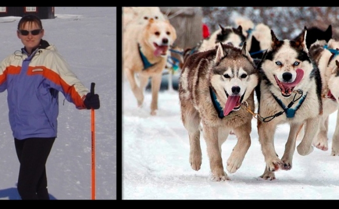 Charity dog sledding challenge in the Arctic