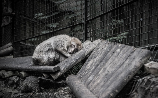 Beyond the Bars Photo Exhibition