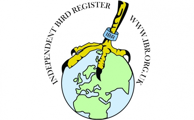 IBR App