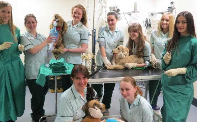 Send a Veterinary Nurse to India