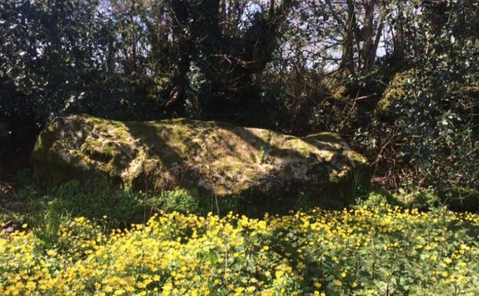 Raise a Standing Stone at Ysbryd y Coed