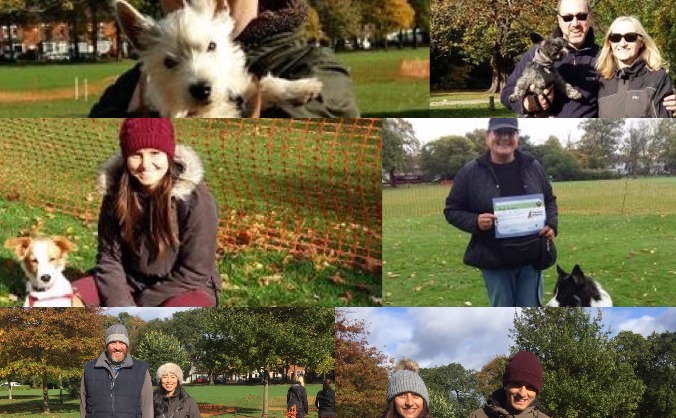 The Dog Education Project