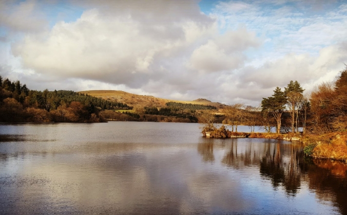 The Burrator Reservoir Project