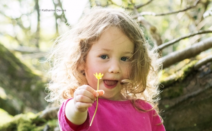 Help Re-wild a Child! Help Build the WildHub
