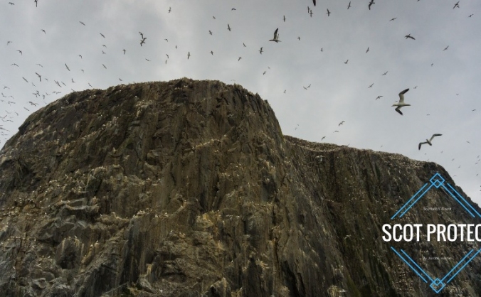 ScotProtect Wildlife Photography Project