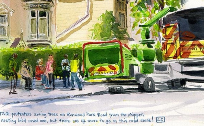 Sheffield Street Trees Legal Fund Continuation