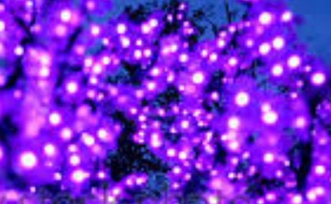 Light Our Tree Pink