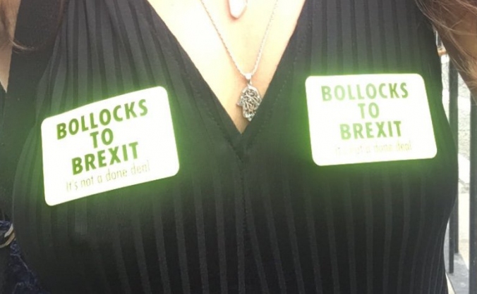 B*** To Brexit Stickers