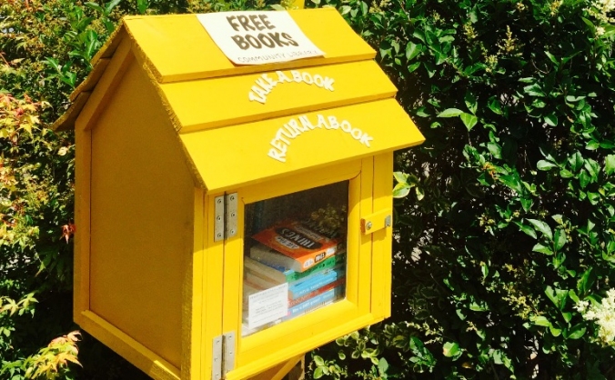 Peacehaven Little Library security project