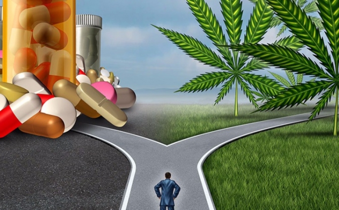 Medicinal Cannabis Reform Scotland Campaign