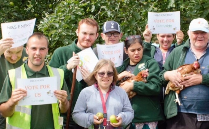 From Battery Hens to Solar Hens