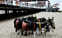 Pier Review - A book about a journey to the outcrops of a dying culture.