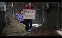 Prashad Sharing UK