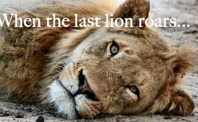 When The Last Lion Roars