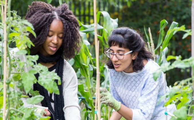 Urban Growth: Garden Therapy in Camden