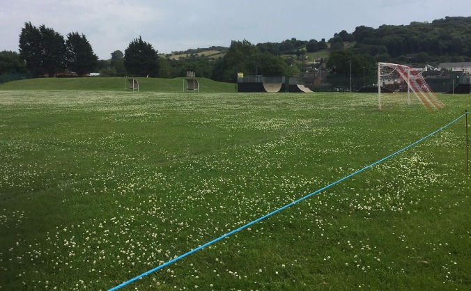 Railings For Our Pitch