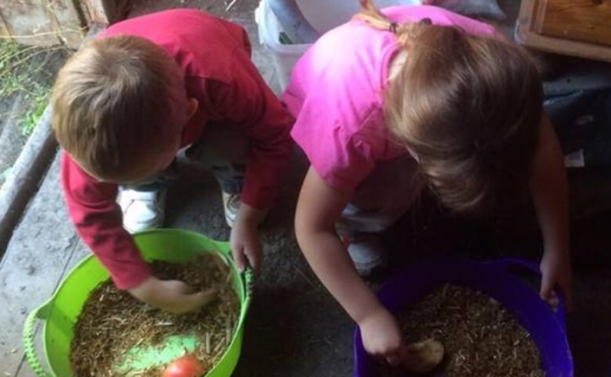Pony Rescue & Education Centre