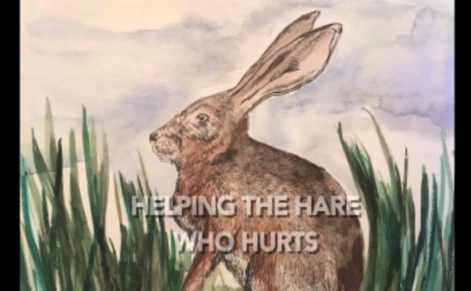 Helping the Hare Who Hurts