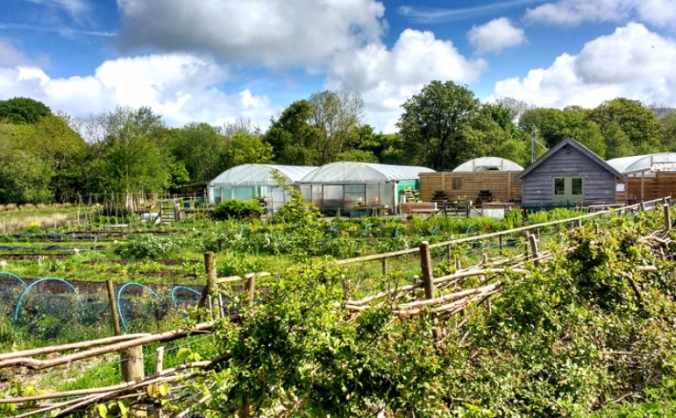 Blas Lôn Las - A Community Farm Shop and Cafe