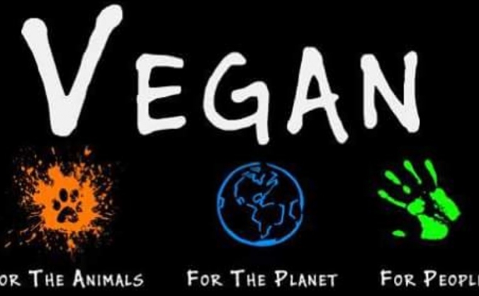 Northern Vegan Festival