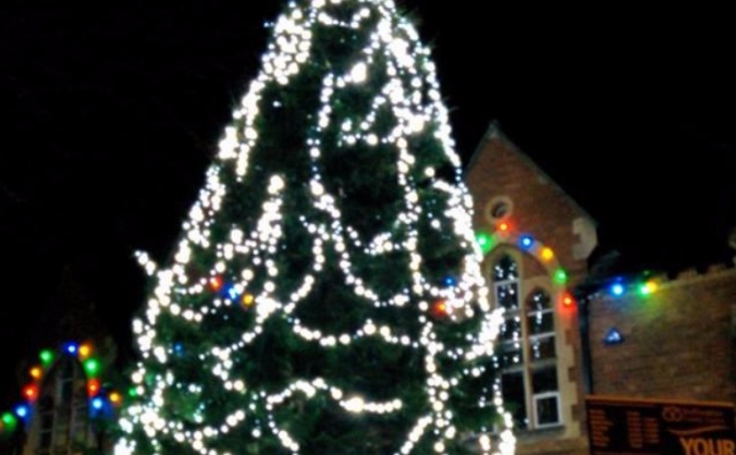 The Big Tree 2017