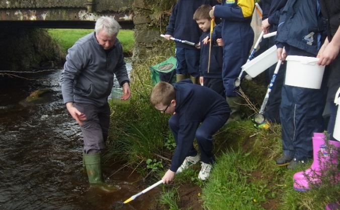 Trout In The Classroom
