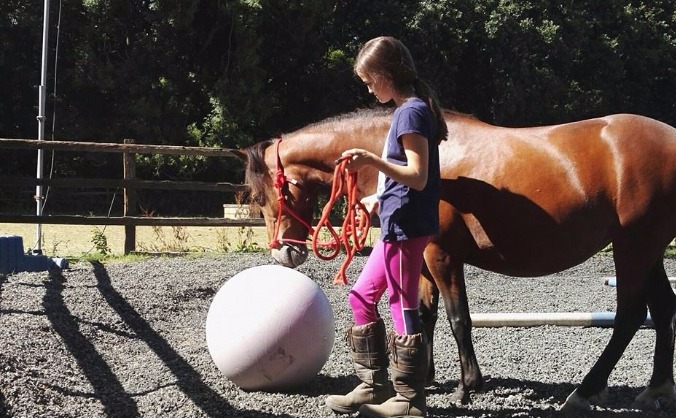 Kingsmead Horses Activity Centre